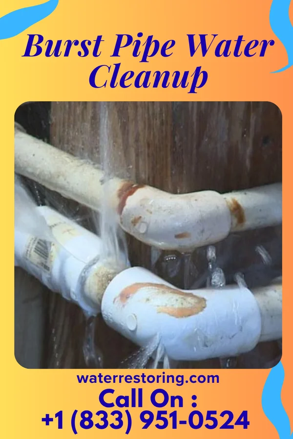 Burst Pipe Water Cleanup in Glendale, WI