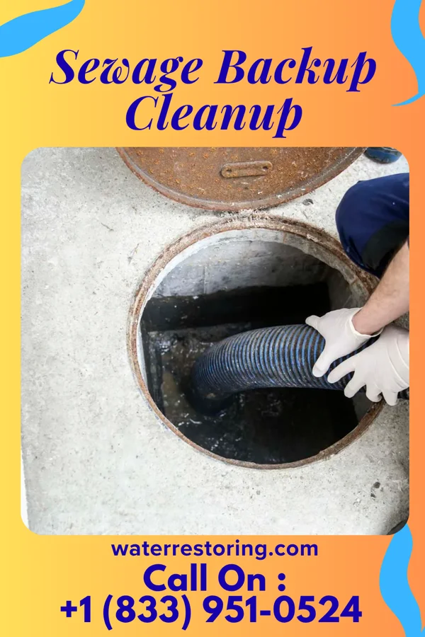 Sewage Backup Cleanup in Glendale, WI